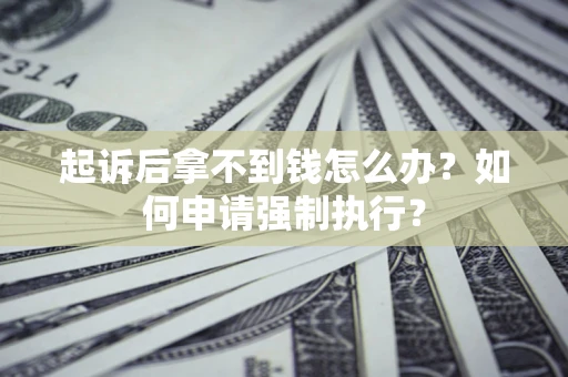 济南起诉后拿不到钱怎么办？如何申请强制执行？