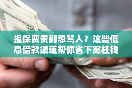 济南担保费贵到想骂人？这些低息借款渠道帮你省下冤枉钱