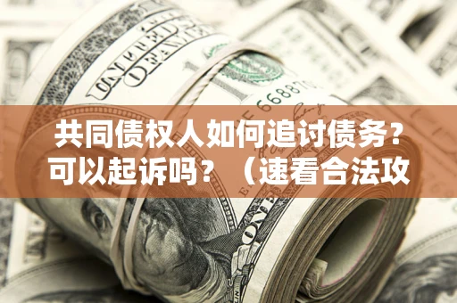 济南共同债权人如何追讨债务？可以起诉吗？（速看合法攻略）